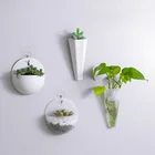 1 шт., гидропонный настенный цветочный горшок, пластиковая ваза на стену, вы можете расти зеленые растения и аксессуары для фотографий