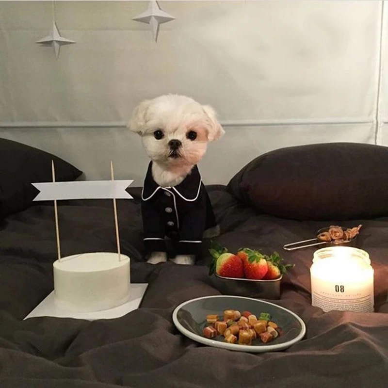 Роскошная Одежда для собак модная Пижама одежда домашних питомцев маленьких и