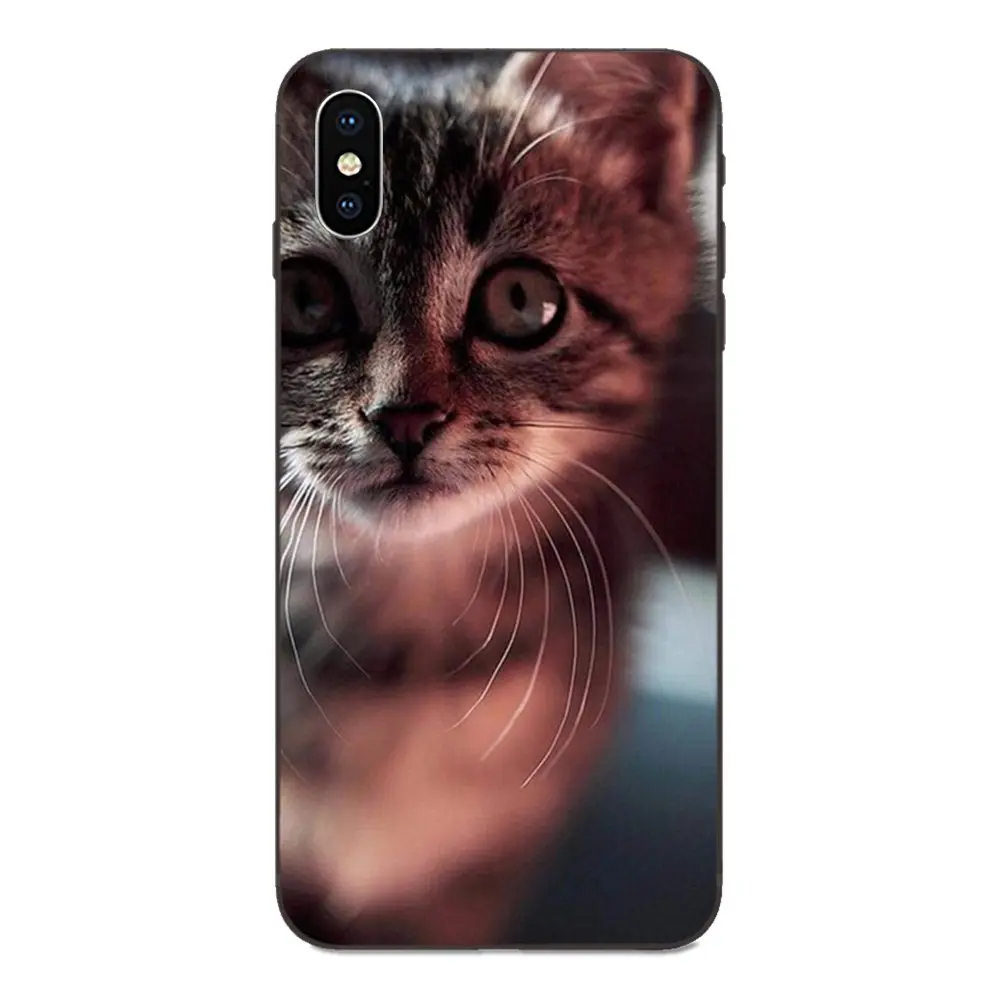 ТПУ класса люкс для Huawei nova 2 2S 3i 4 4e 5i Y3 Y5 II Y6 Y7 Y9 Lite Plus Prime Pro 2017 2018 2019 британская кошка