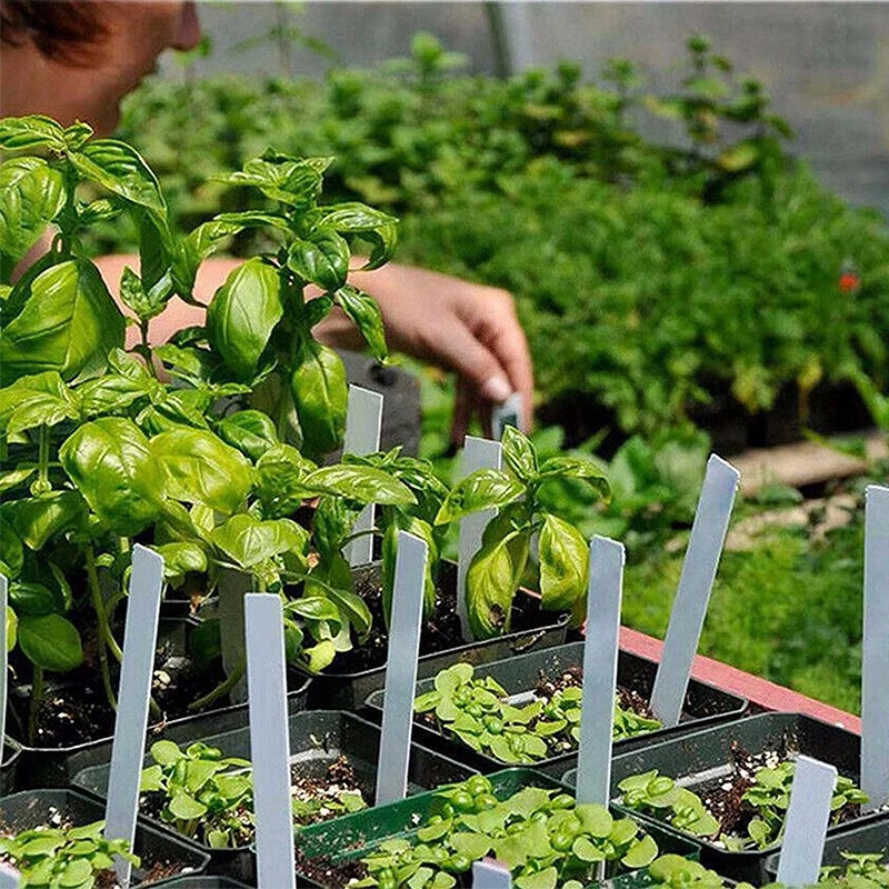 12 отверстие коробка для выращивания садовые горшки питомники семенной лоток