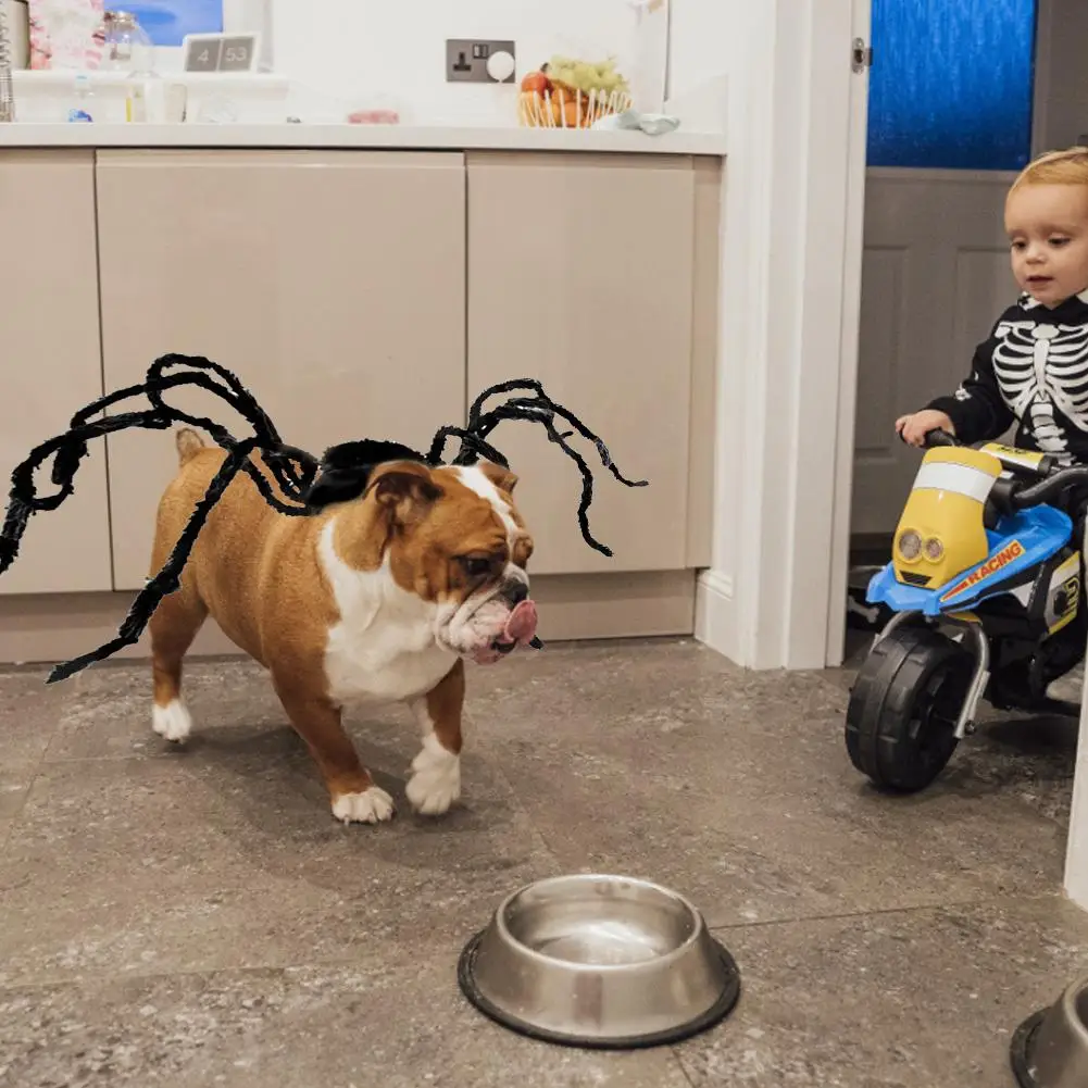 Забавная Одежда для собак костюм паука питомцев на Хэллоуин черный Забавный