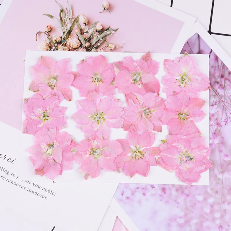 Style A Pink 12 шт./упак. консервированные Цветочные прессованные цветы маленькие сушеные цветы для скрапбукинга сухие DIY чехол для телефона Mini bloemen flores secas - Цвет: Style A Pink