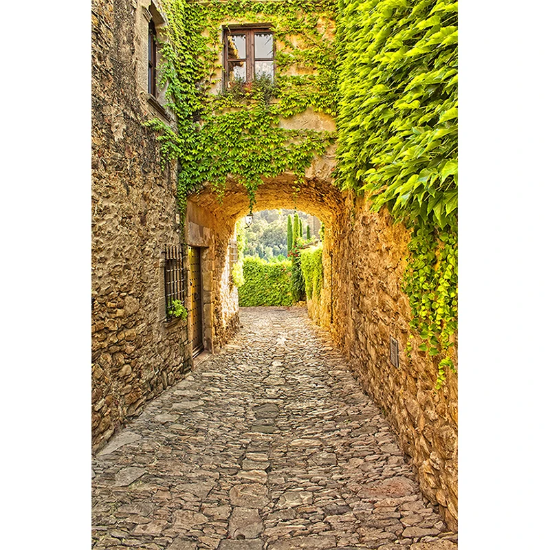 Nitree красивые улицы здания пейзаж фото студия в Вертикальную Полоску фоне