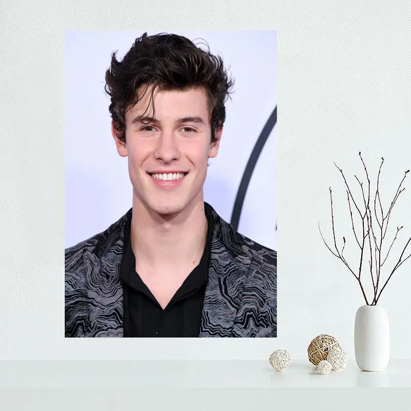 Изготовленный На Заказ Shawn Mendes художественный плакат на холсте ткань постер
