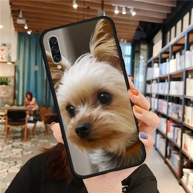 

Mini Yorkshire Terrier Phone Case For Samsung A20 A30 30s A40 A7 2018 J2 J7 prime J4 Plus S5 Note 9 10 Plus