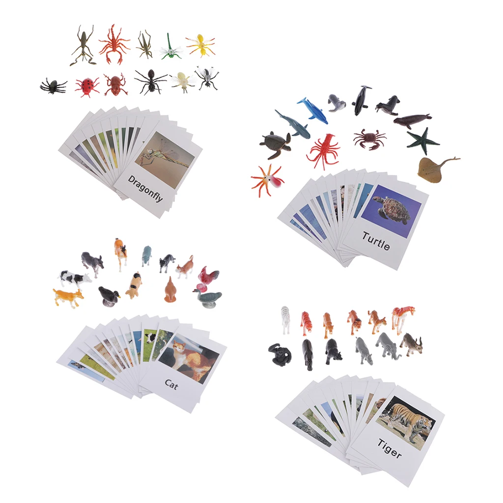 

48pc Education Insect Animals Model Paper Toy Children Kids Paper