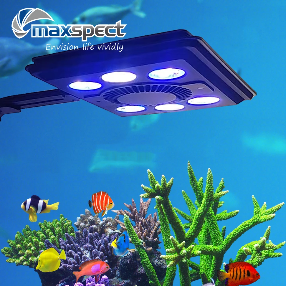 저렴한 수족관 램프 65w Wifi LED 해양 수족관 빛 산호초 전체 스펙트럼 일출과 일몰 SPS 및 LPS 램프