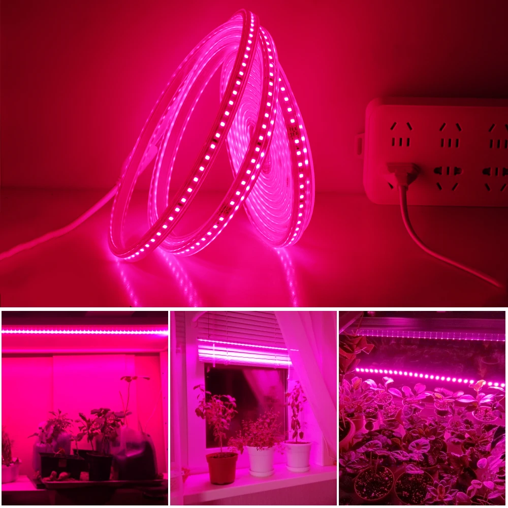 LED Grow Light 2835 Chip Waterproof Full Spectrum Strip 220V 120LEDs/M DIY Growth Lamps for Greenhouse Plant Growing | Лампы и