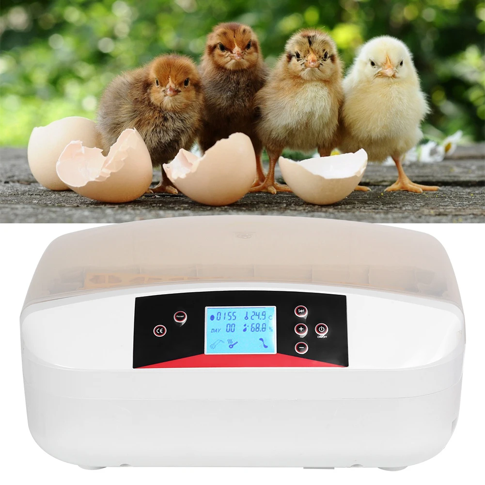 32/56 инкубатор для яиц автоматический цифровой цыплят утки гуся