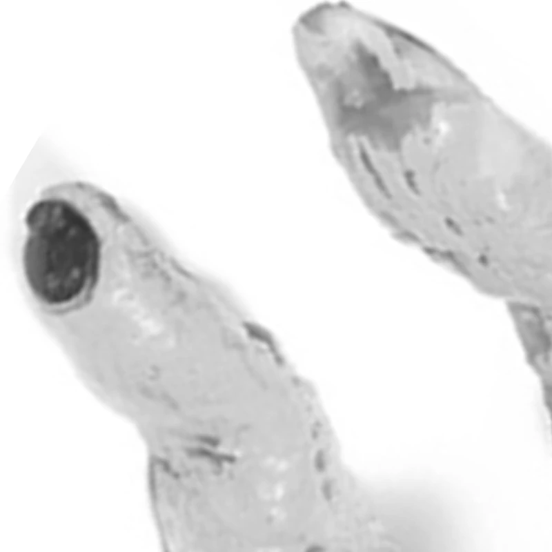 Страшные зомби ползающие руки Голосовое управление розыгрыш игрушки Хэллоуин