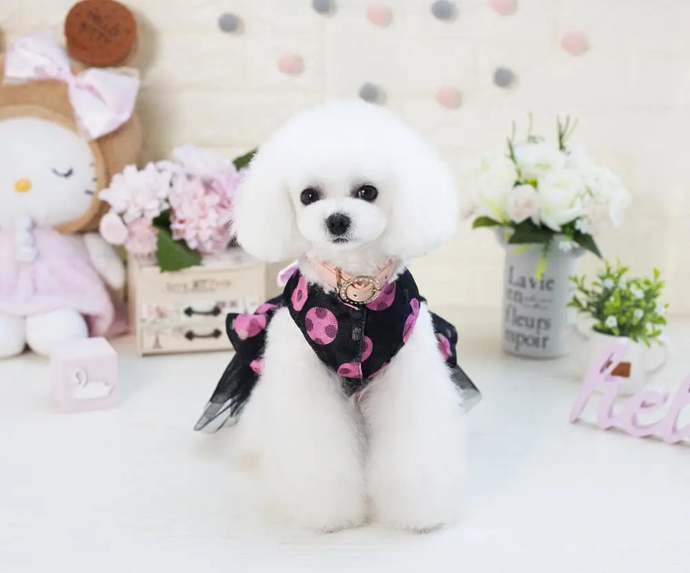 Платье для собак сезон весна лето новое милое платье принцессы с рисунком