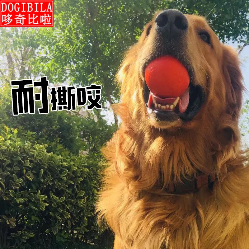 Игрушка для питомцев против укусов твердый резиновый мяч чистки зубов
