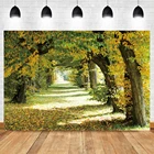 Laeacco Осенняя страна чудес Лес опавшие листья дорога комната украшение фон фотографический фон для фотостудии