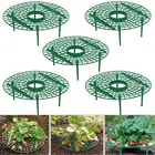 5 шт. клубника стенд держатель рамы посадка на балконе стеллаж для фруктов Поддержка цветок вьющегося винограда штендер сад стенд