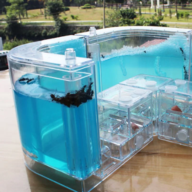 Муравьи фермы муравьи дом замок Террариум для насекомых клетка насекомые