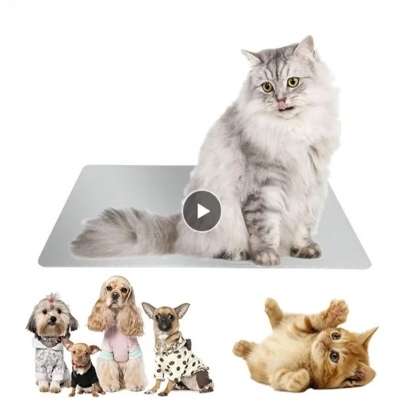 Оптовая продажа 1 предмет Кошка Собака Щенок Кролик Хомяк специальной