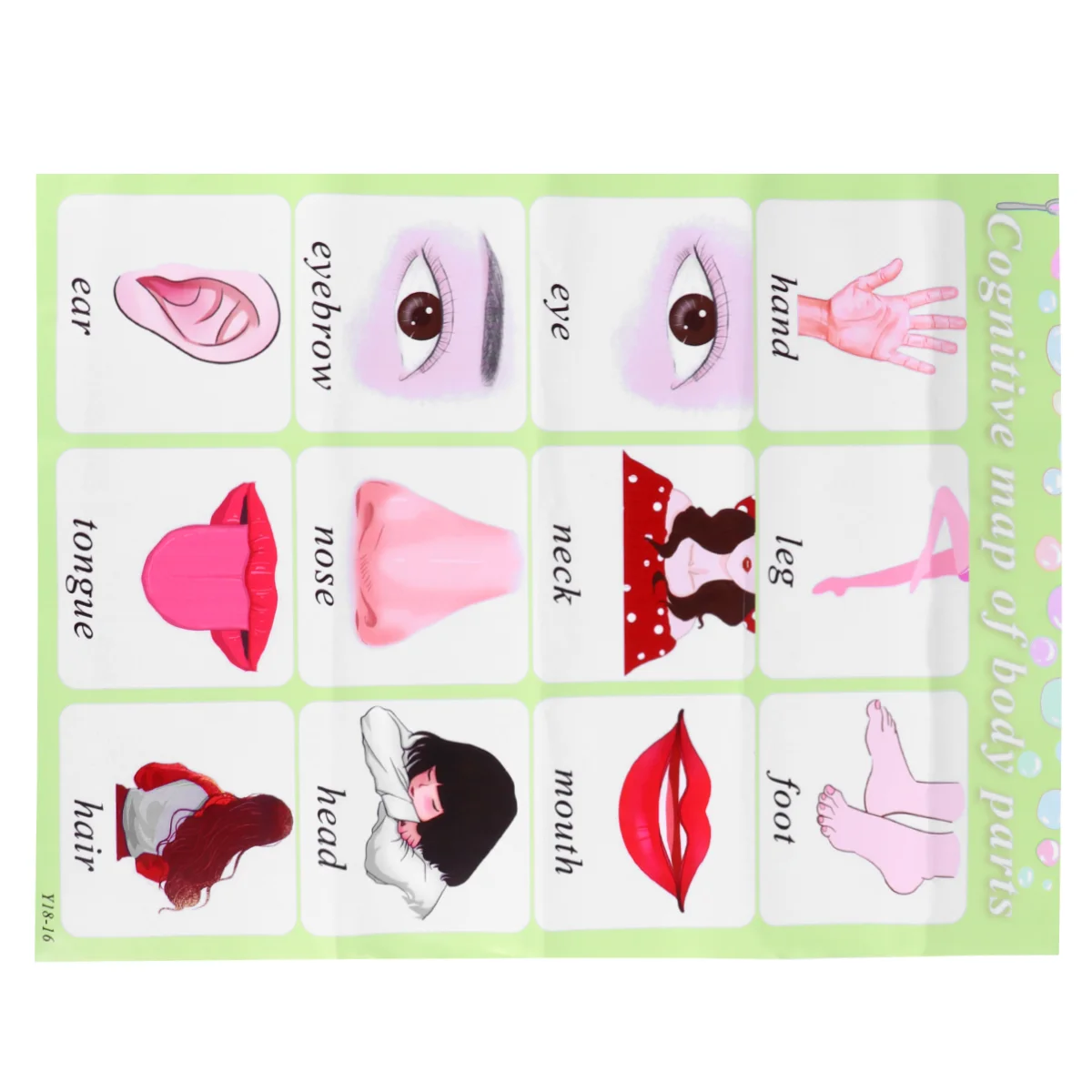 

Детский интерактивный Алфавит настенная Таблица АНГЛИЙСКИЙ УЧЕБНЫЙ плакат Educational