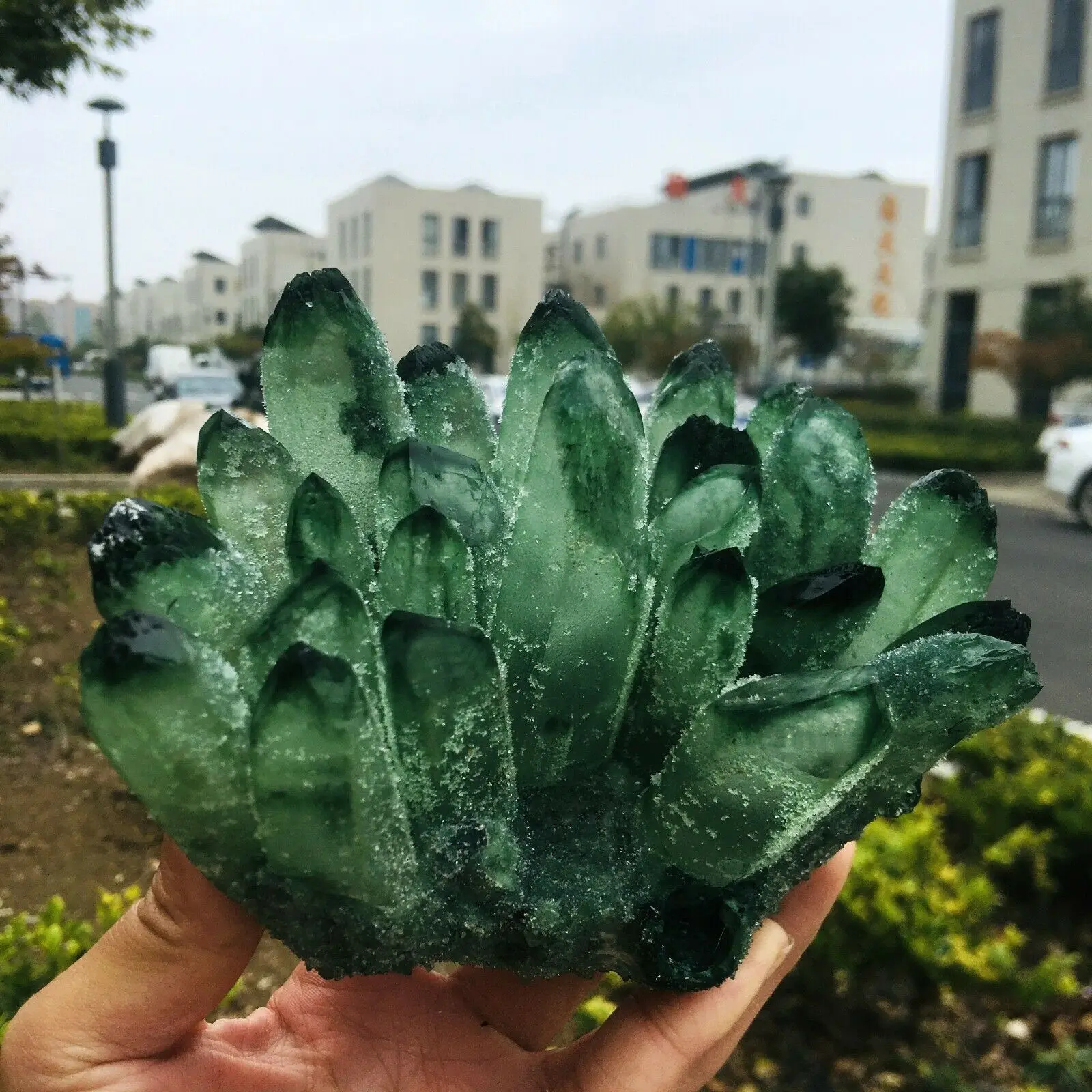

880g Green Phantom Quartz Crystal Cluster Mineral Specimen Healing
