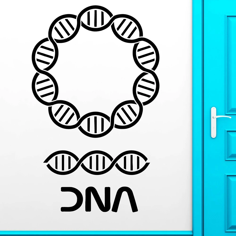 Настенные стикеры с днк биология химия школа наука виниловые наклейки на стену