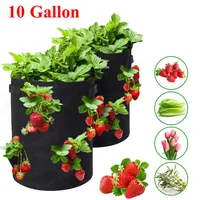 Garden Outdoor Planting Grow Bag Strawberry Vertical Flower Herb Pouch Root Breathable Vegetable Round Farm Reusable Pot Planter