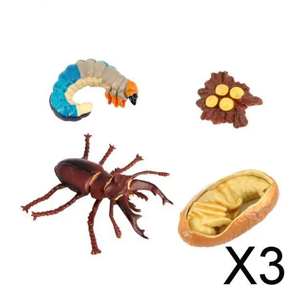 

3x Animal Life Cycle Teaching Aids in The Classroom From 5 Years Insects