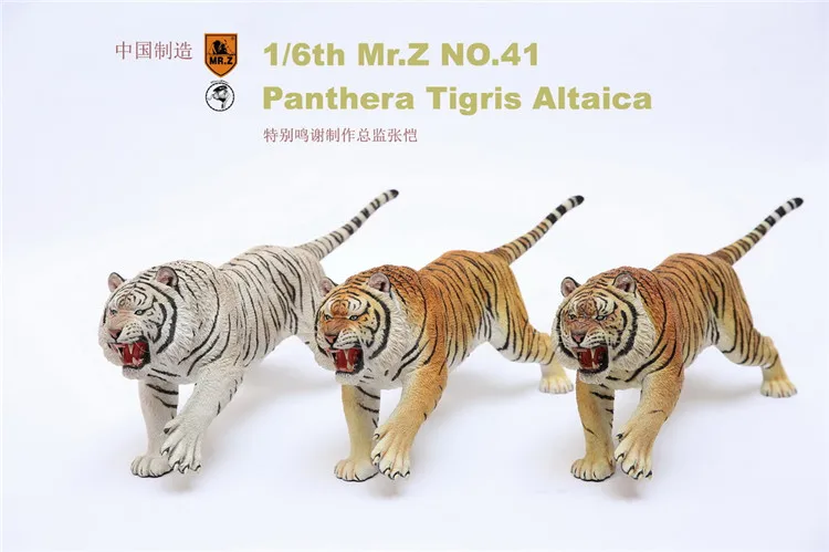 Mr.Z MRZ041-PTA 1/6 NO41 Сибирский тигр борода издание Гараж Набор статуя для фанатов