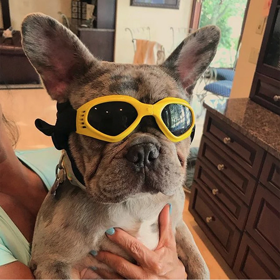 

Pet Dog Glasses Foldable Sunglasses For Small Dog Dog Outdoor Glasses Dog Eyewear Waterproof Dog Protection Goggles Sunglasses