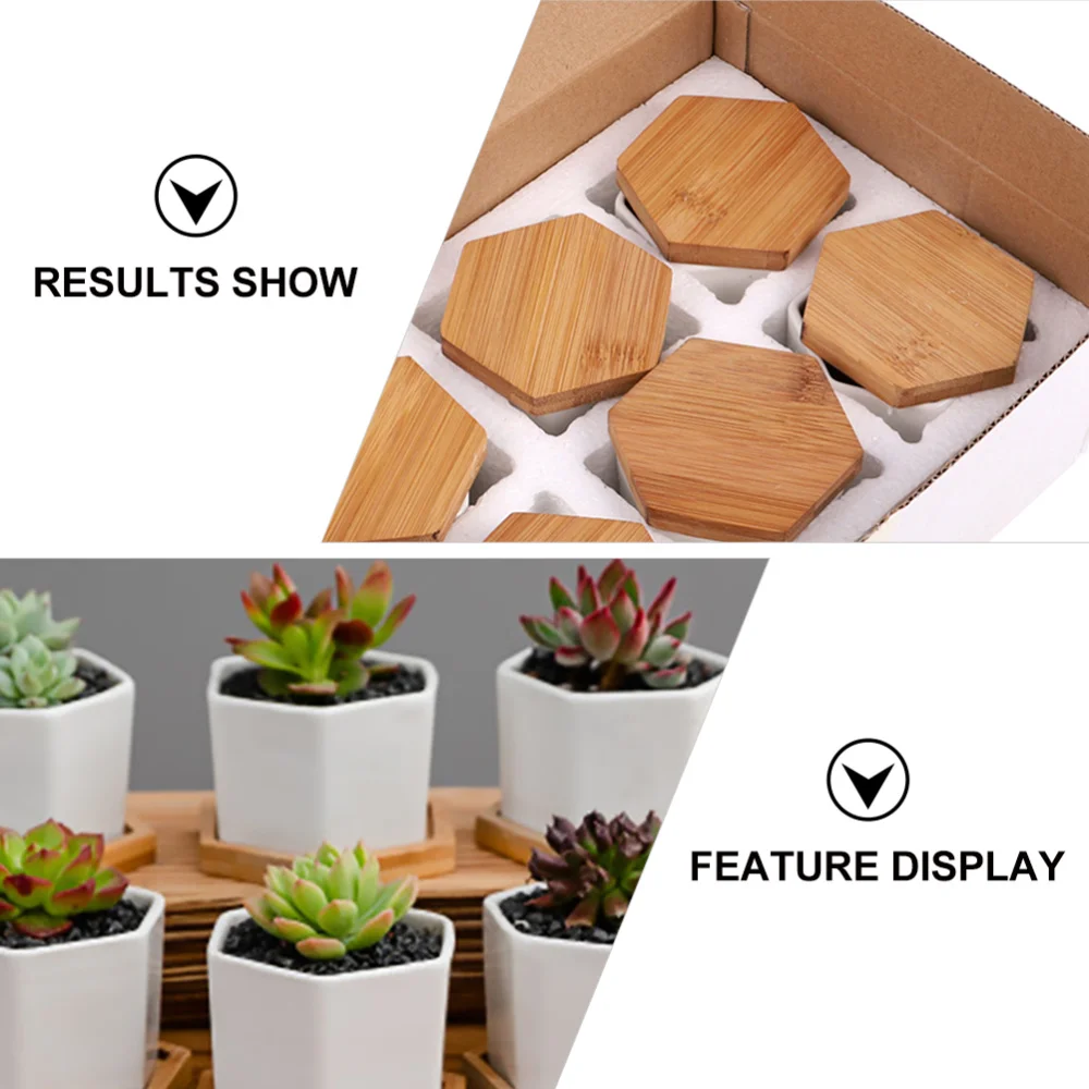

24 Pcs Succulent Pots Decorative Flower Holders Flower Pots with Trays (White)