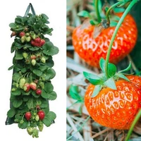 multi mouth grow bag strawberry tomato planting bags eco friendly reusable gardens balconies flower herb hanging growing bag
