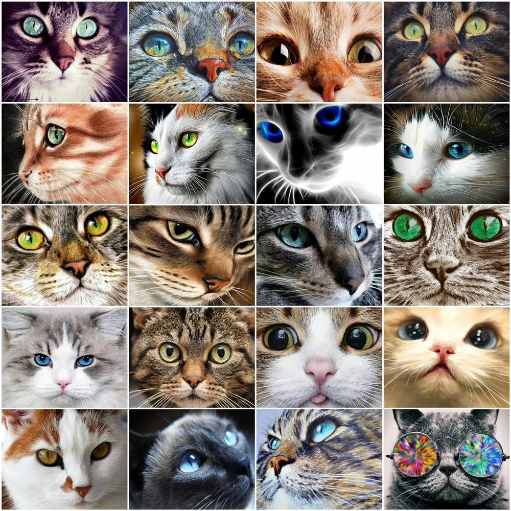 

AZQSD живопись маслом по номерам Кот животные акриловая Современная Настенная картина Раскраска по номерам наборы глаз ручная роспись украше...