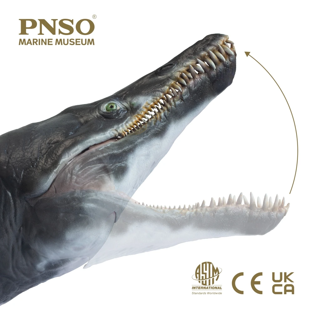 PNSO-modelo de arte cient&iacute;fico, Museo marino, JEFF, KRONOSAURUS 1:35-3