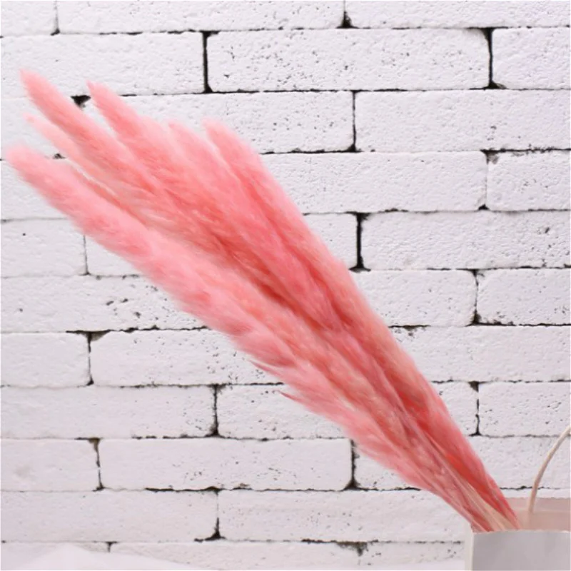 10pc 50cm Сухоцветы сухие цветы 10 шт. сушеные цветы маленькие пампасы трава фрагмиты коммунис Рид цветок садовый декор натуральный настоящая Пшеница Свадебные фотосессии реквизит сухоцветы - Цвет: 10pc 50cm