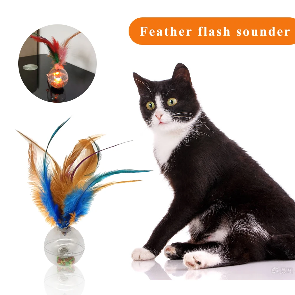 Зеленый питатель для домашних животных кошка пищевая обработка интерактивная