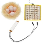 Нагревательная пластина нагреватель для инкубатора для яиц принадлежности для инкубаторов, 110 В, 220 В, розничная продажа