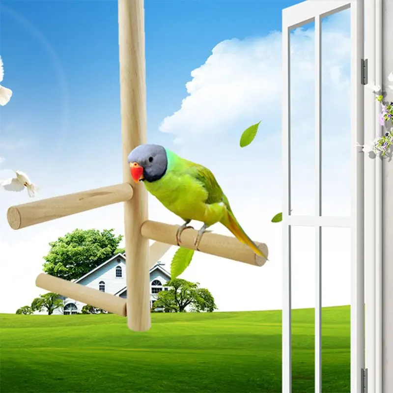 

Bird Perch, Parrot Birdcage Stand Natural Toys Natural Wooden Activity Branches Premium Quality