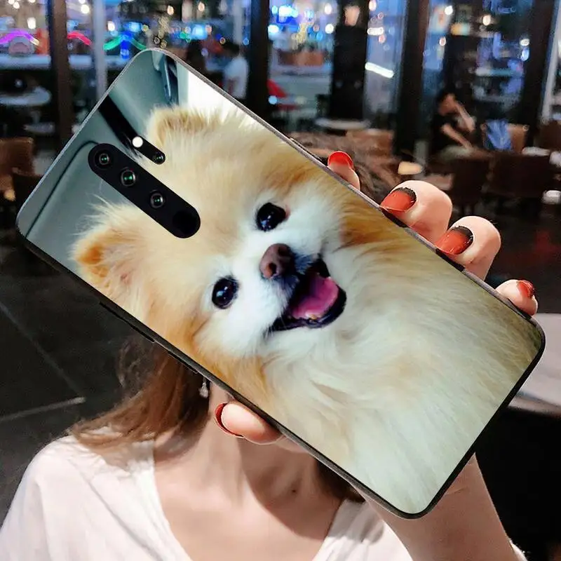Милая Померанская собака модель Redmi 9A 8A 7 6 6A Note 10 9 8 8T Pro Max K20 K30 | Мобильные телефоны