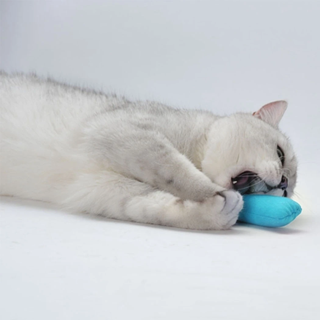 

Catnip Teeth Grinding Toys Funny Interactive Plush Cat Toy Pet Kitten Chewing Vocal Toy Claws Thumb Bite Cat Mint For Cats Hot