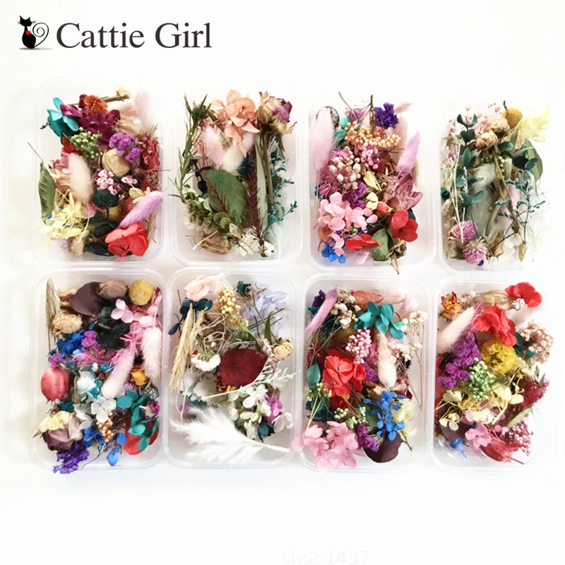 1 коробка натуральные цветы для наклеивания на ногти высушенные украшения сухой
