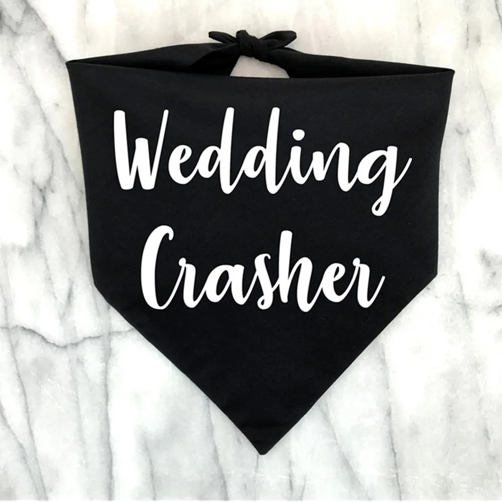 Comprar pañuelos de perro divertido