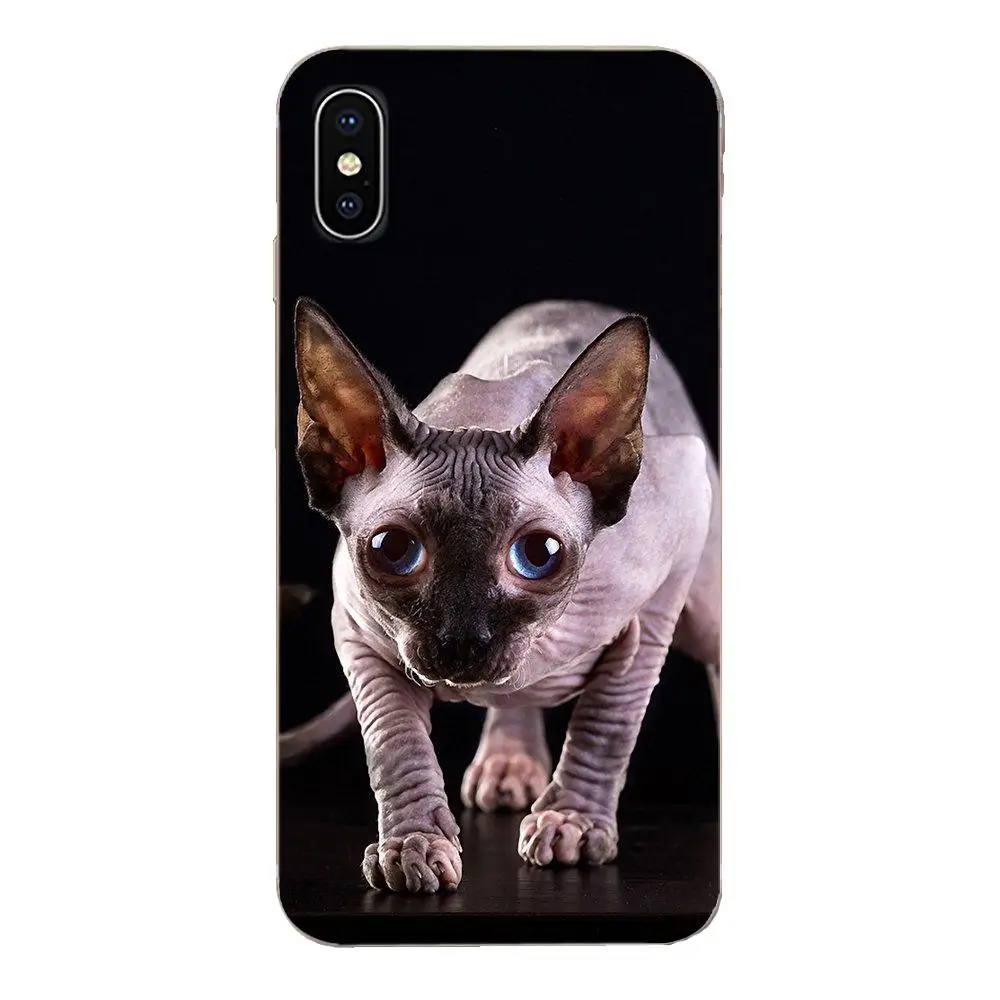 Большая дружественная кошка Sphynx для Huawei Honor Mate 7 7A 8 9 10 20 V8 V9 V10 V30 P40 G Lite Play Mini Pro P Smart