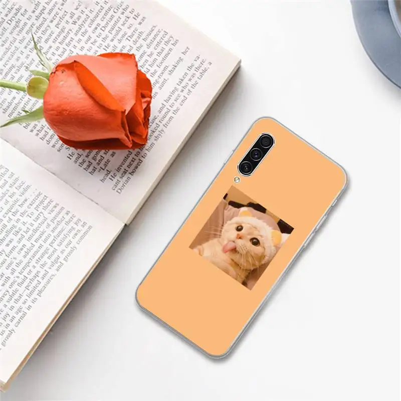 

Pink Aesthetic cute cat pattern Phone Case For Samsung A S M Note 9 10 20 fe 21 71 30 ultra plus 5g 11 31 51 s