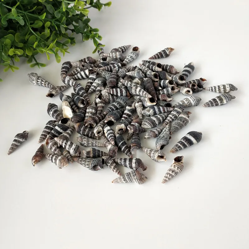 100 шт. натуральные раковины черные спиральные для зачистки в аквариуме