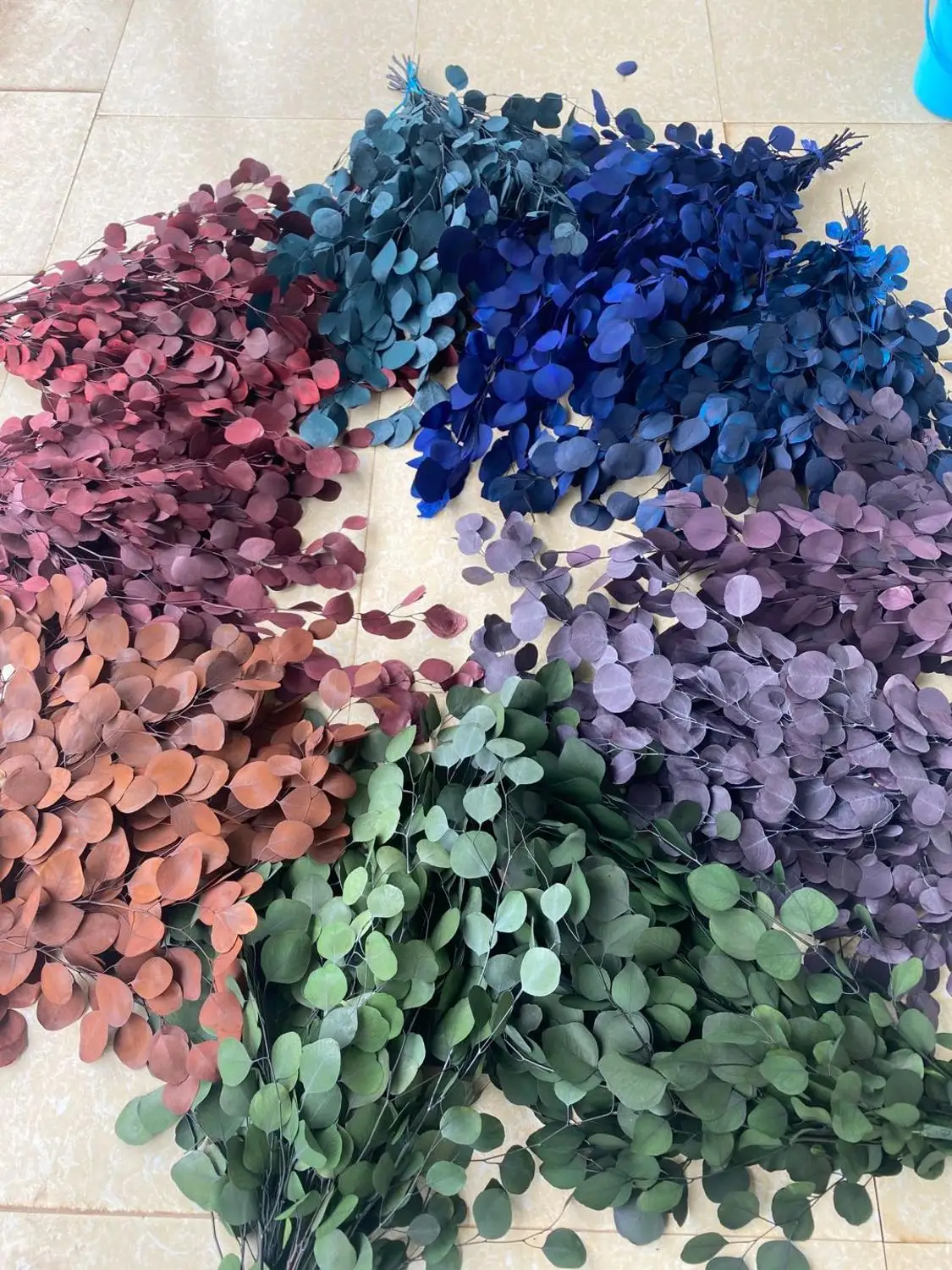 Цветные листья эвкалипта яблока Осенние круглые натуральные вечные 50 г