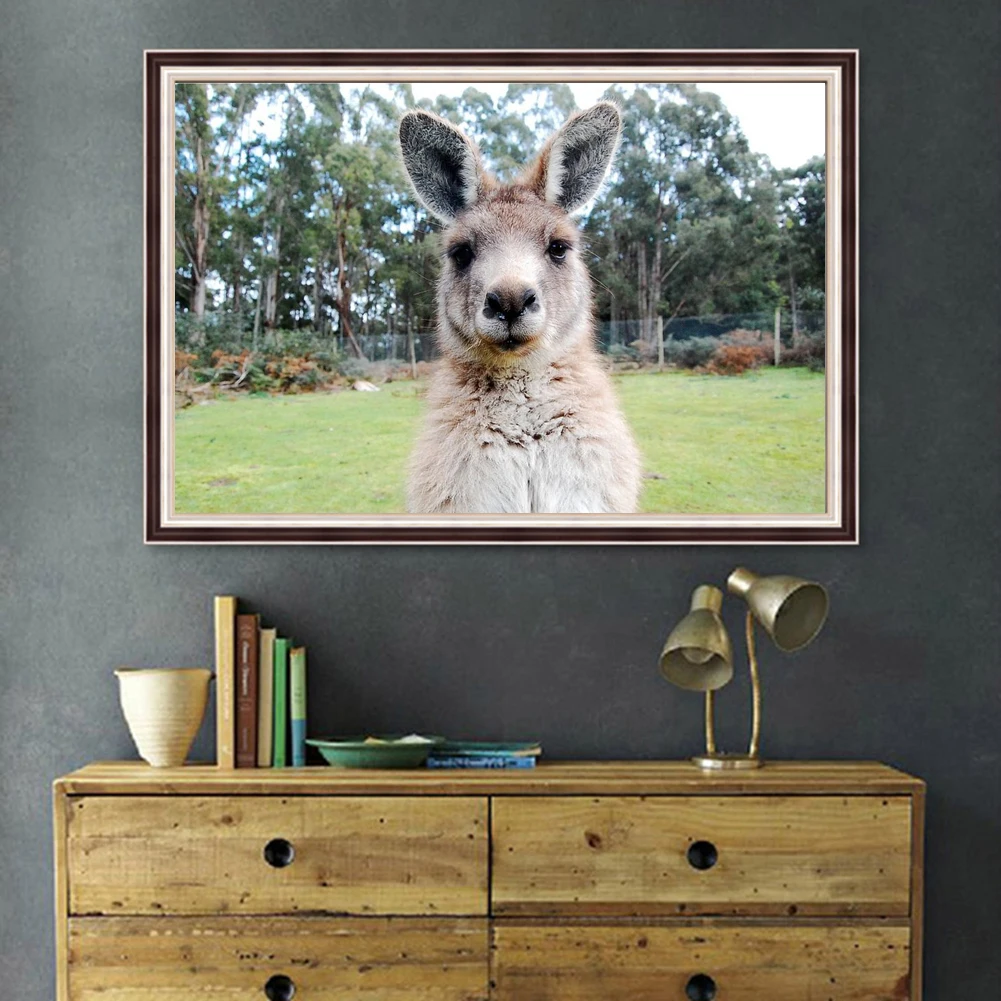 Ленивый коала Алмазная картина Австралия животные кенгуру попугай Magpies Meerkat 5D