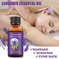 high purity organic lavender essential oil firm skin massage essential oil improve sleep fragrance essential oil 30ml