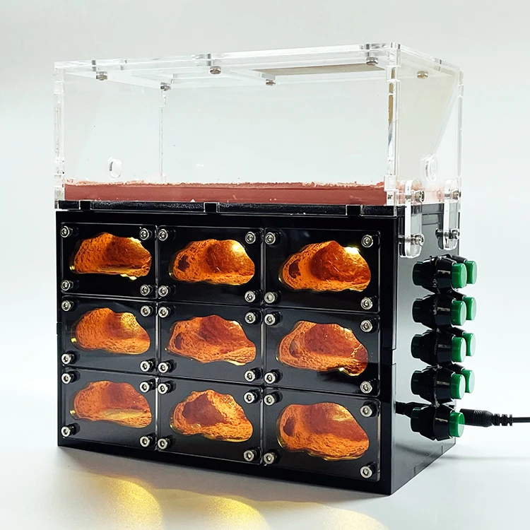 Муравьиная ферма муравьиная Муравьиное гнездо муравьиный жилой дом бетонное