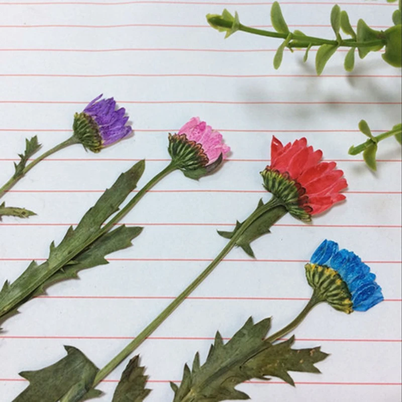 Ароматерапия Свеча сухой цветок прессованный эпоксидная Yongsheng мобильный телефон