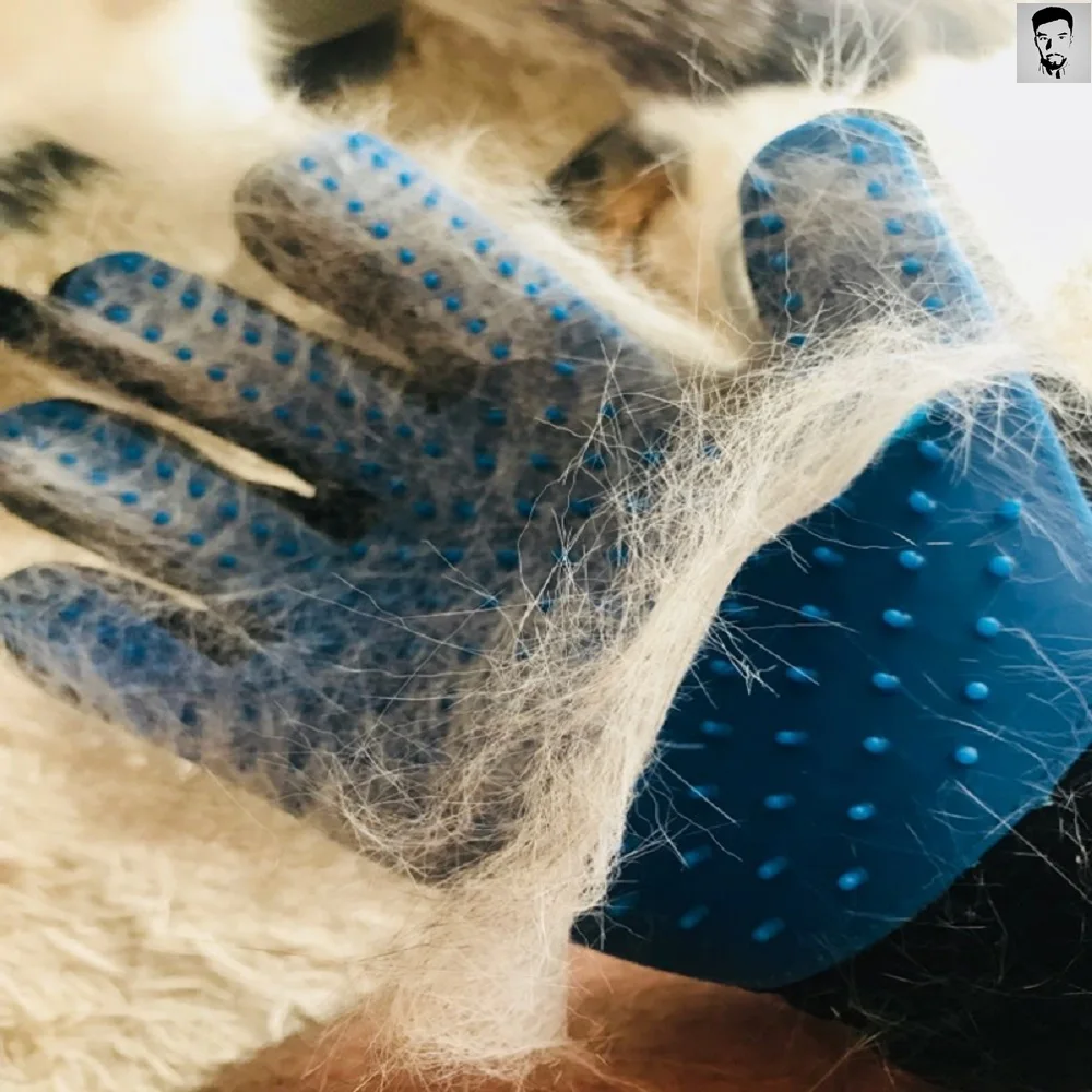 

Cat Glove Cat Grooming Glove Pet Brush Glove for Cat Dog Hair Remove Brush Dog Deshedding Cleaning Combs Massage Gloves