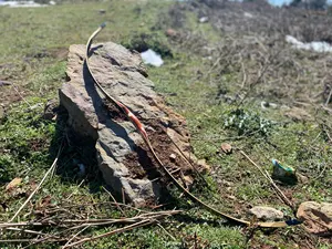 Ламинированный изогнутый бант с длинным бантом, традиционный конский бант для охоты на открытом воздухе, Спортивная съемка, 30-50lbs