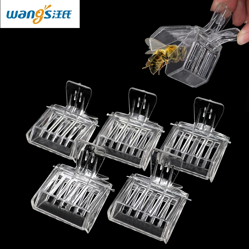 

5Pcs Plastic Queen Cage Clip Bee Catcher Beekeeper Equipment Beekeeping Tools New